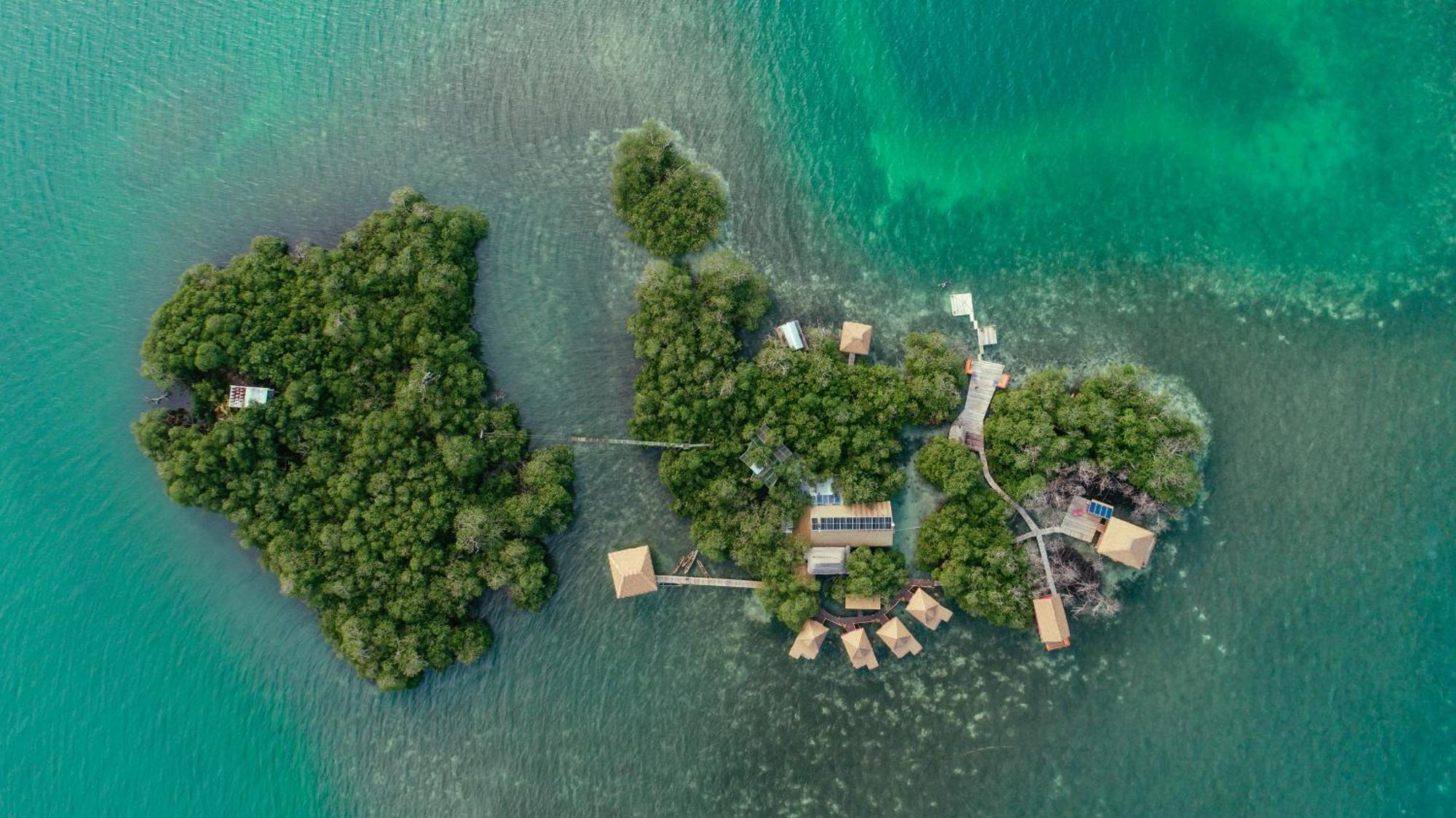 Urraca Monkey Island Eco Resort (Adults Only) Punta Laurel ภายนอก รูปภาพ