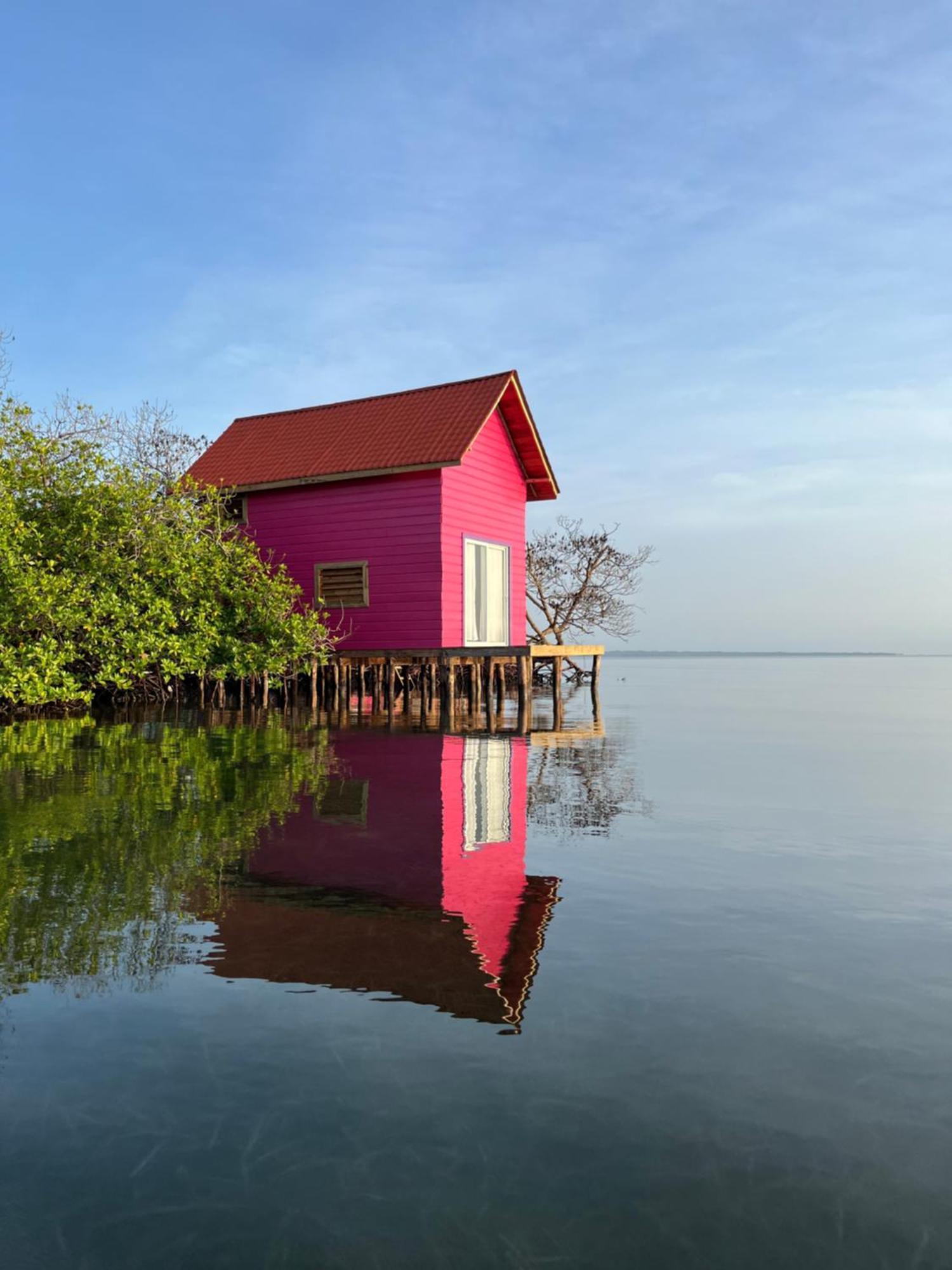 Urraca Monkey Island Eco Resort (Adults Only) Punta Laurel ภายนอก รูปภาพ