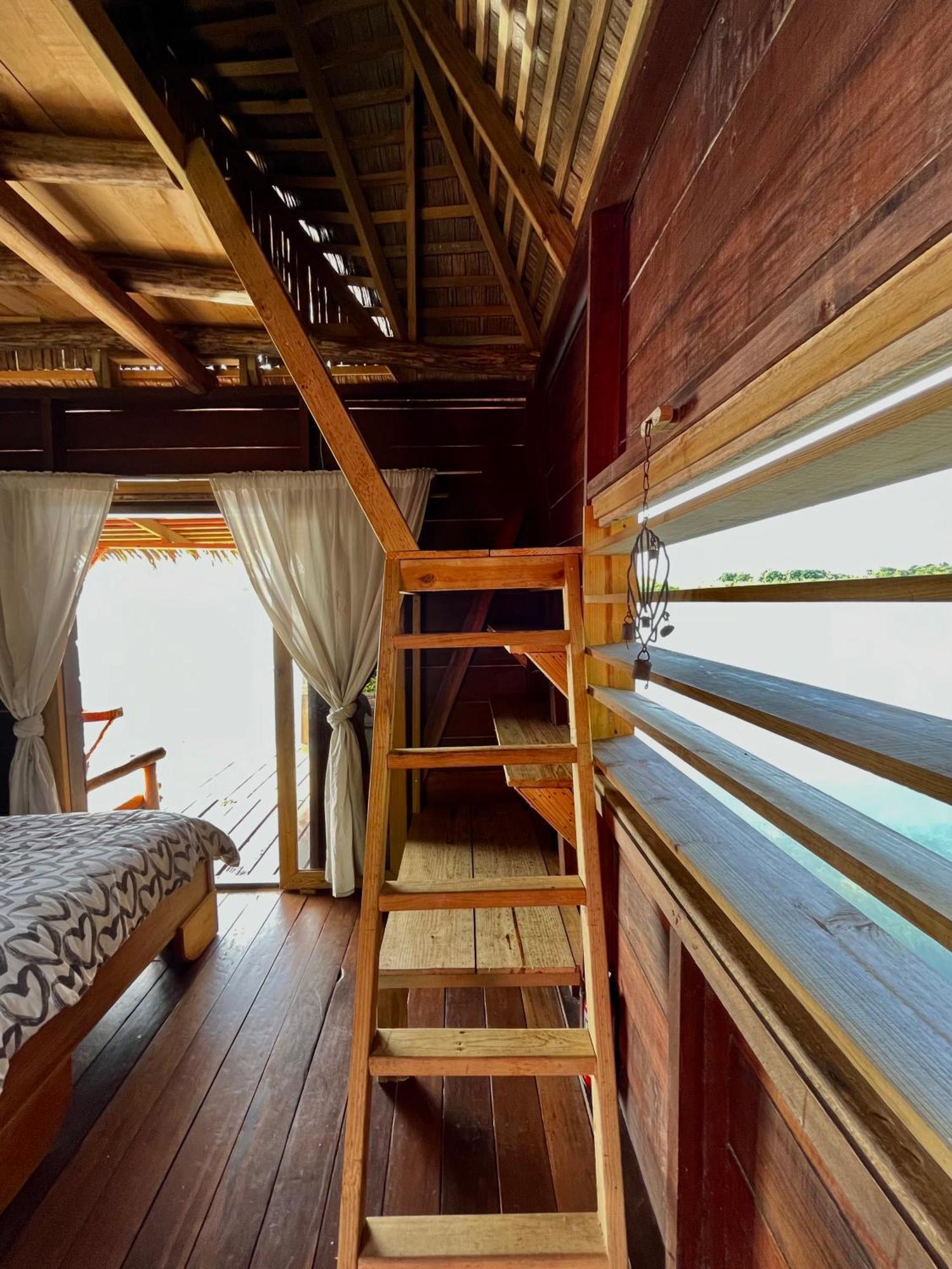Urraca Monkey Island Eco Resort (Adults Only) Punta Laurel ห้อง รูปภาพ