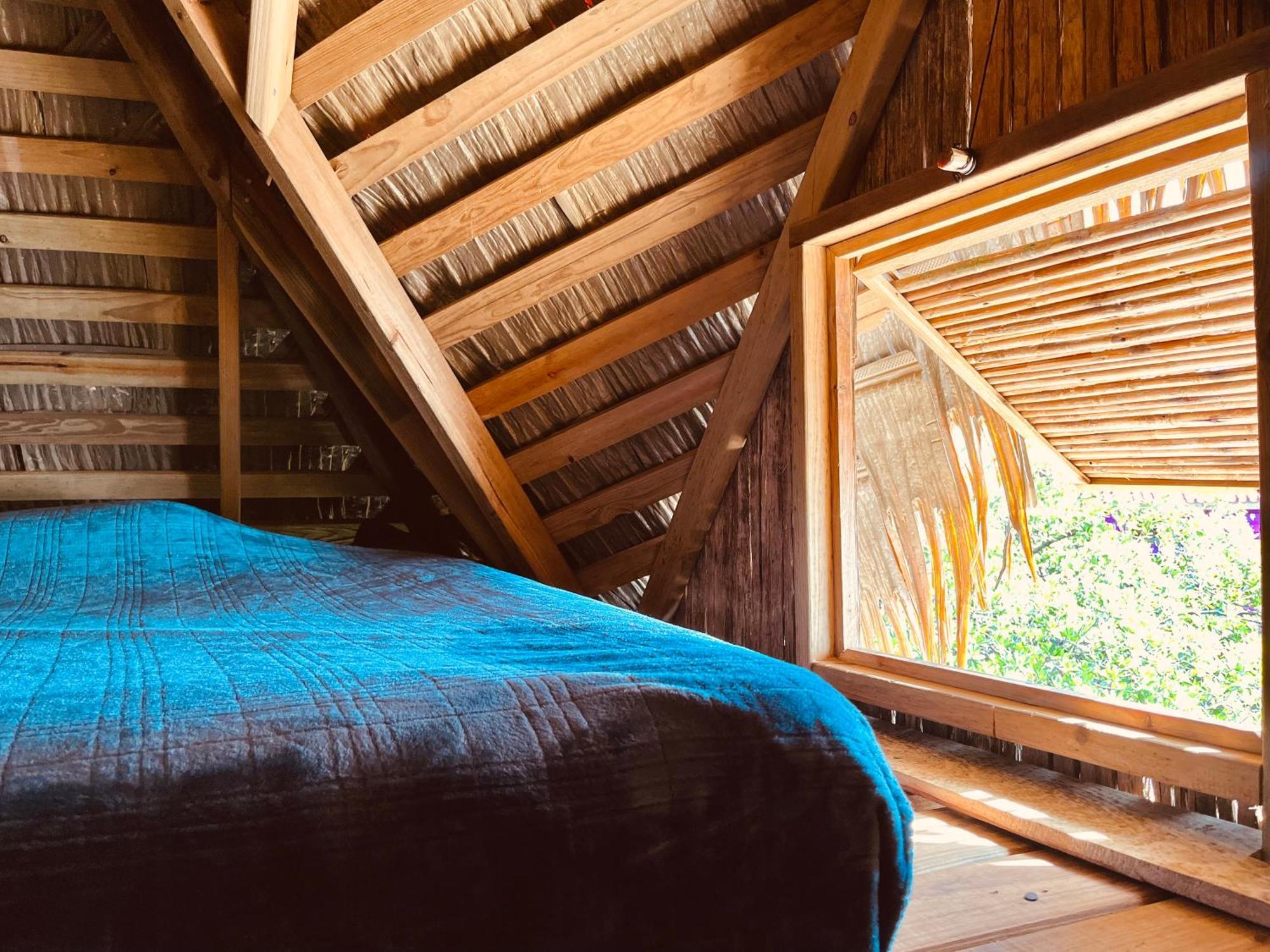 Urraca Monkey Island Eco Resort (Adults Only) Punta Laurel ห้อง รูปภาพ