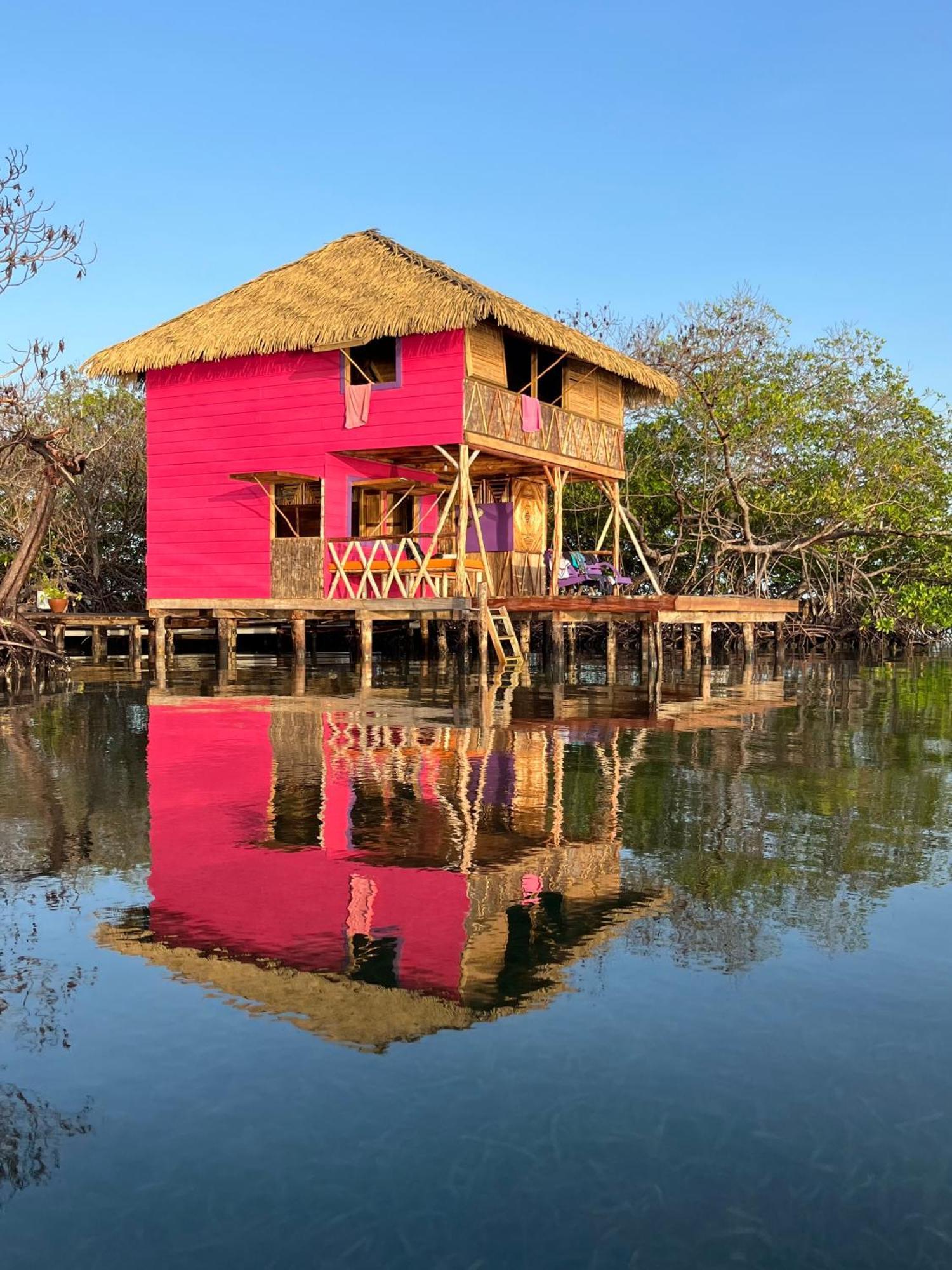 Urraca Monkey Island Eco Resort (Adults Only) Punta Laurel ห้อง รูปภาพ