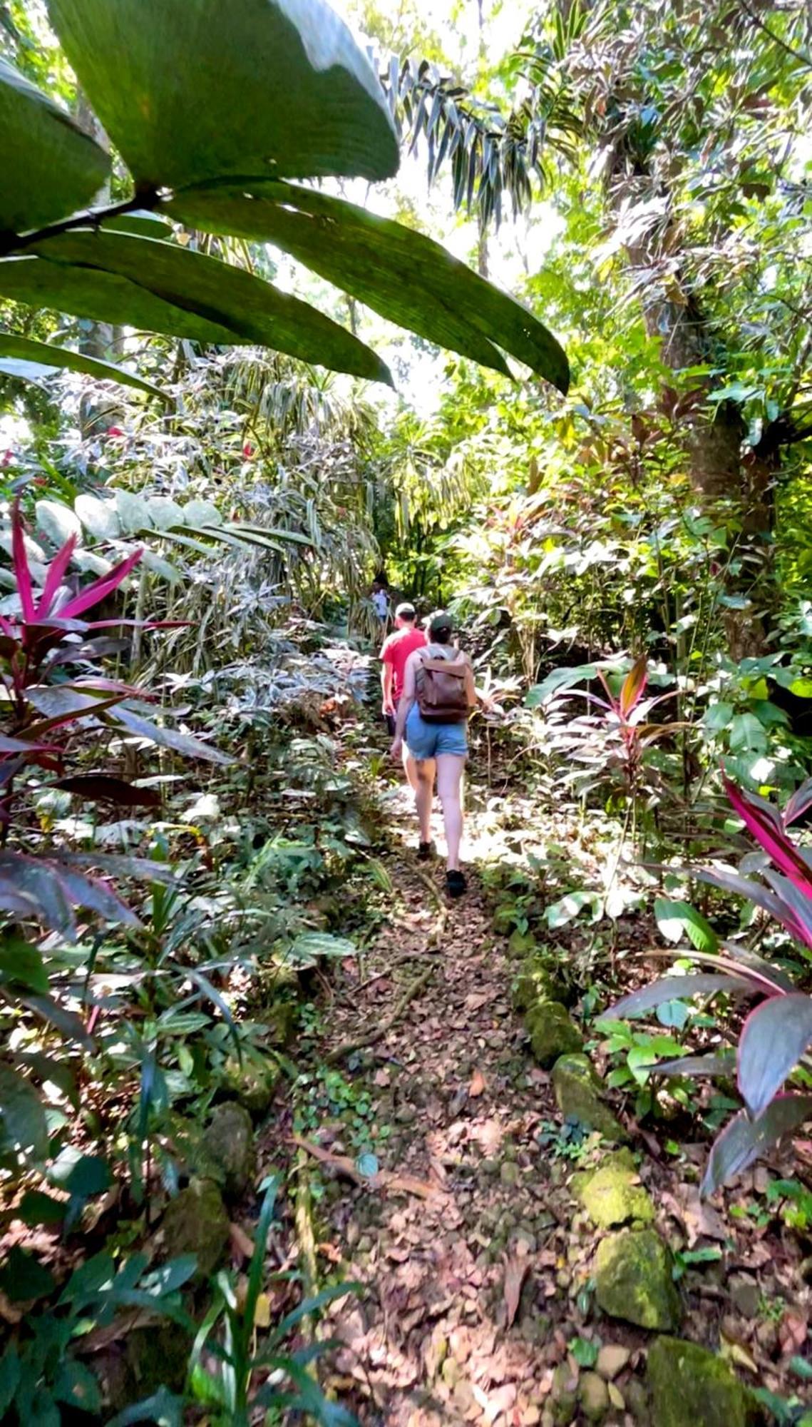 Urraca Monkey Island Eco Resort (Adults Only) Punta Laurel ภายนอก รูปภาพ
